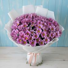 Букет цветов из:  Хризантемы в Платаве
