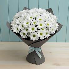 Букет цветов из:  Хризантемы #REPLACE_PRED# Платаве