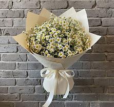 Букет цветов из:  Ромашки в Платаве