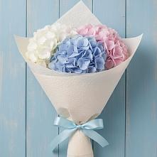 Букет цветов из:  Гортензия в Платаве