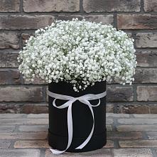 Цветочная композиция из Гипсофила в шляпной коробке в Платаве