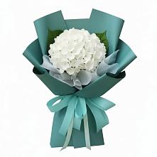Букет цветов из:  Гортензия #REPLACE_PRED# Платаве